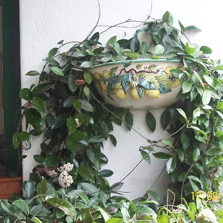 Casa Seralba Forio (Isola d'Ischia)