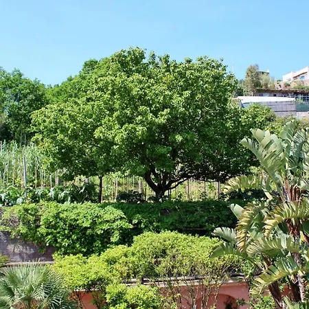 Panzió Casa Seralba Forio di Ischia