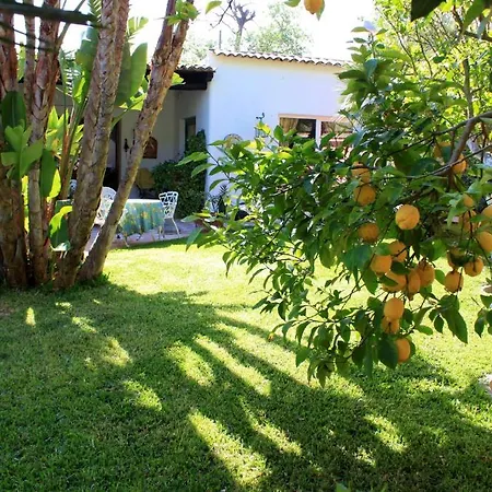 Casa Seralba 3* Forio (Isola d'Ischia)